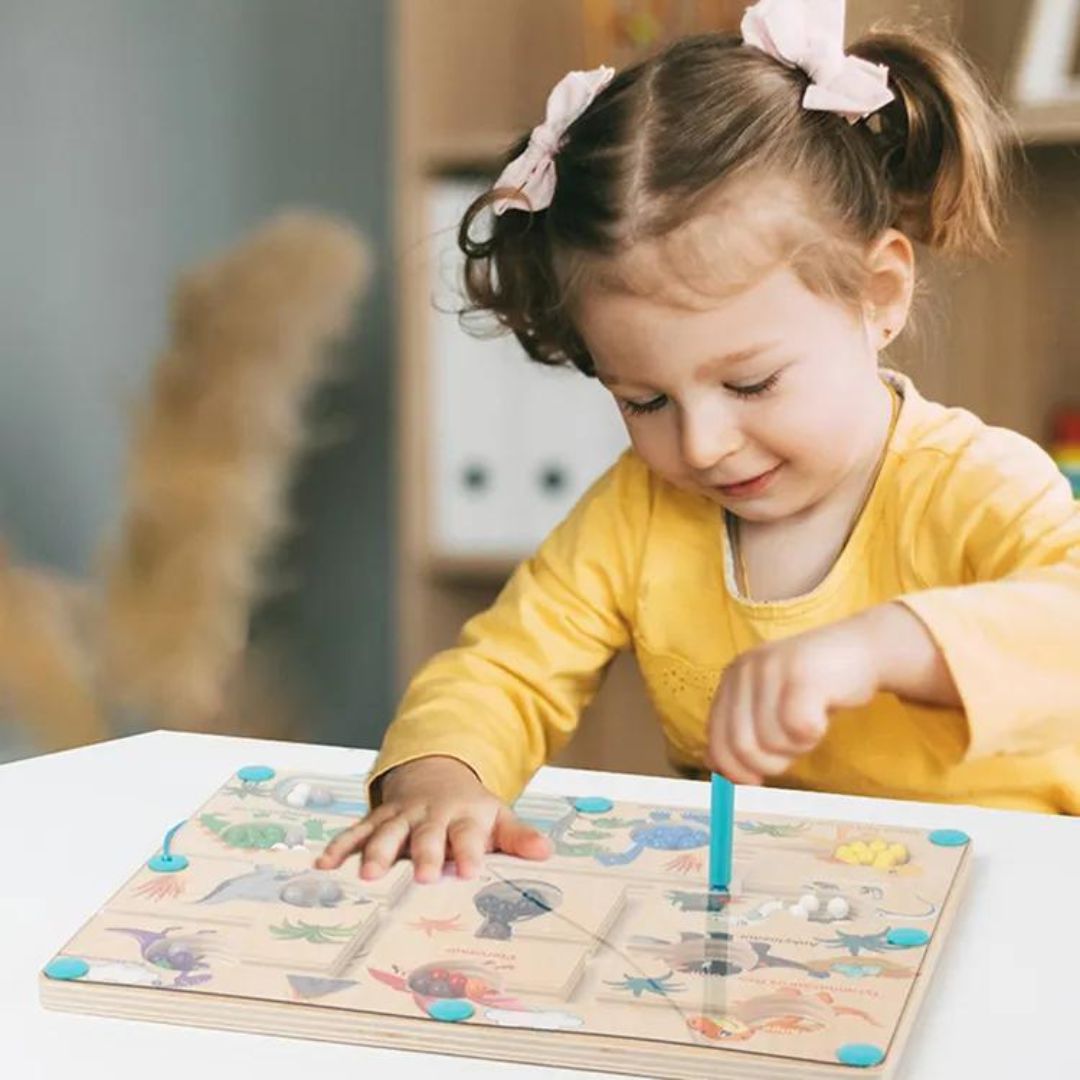 Educational Magnetic Dinosaur Maze - Learn Colors & Numbers in a Fun Way